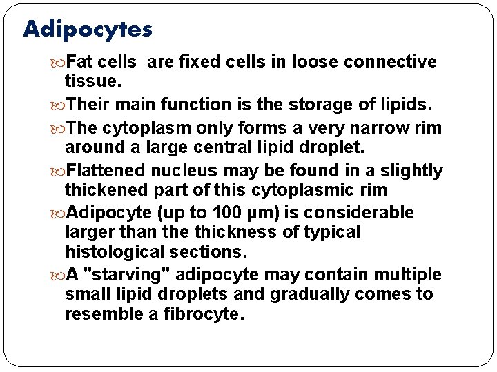 Adipocytes Fat cells are fixed cells in loose connective tissue. Their main function is