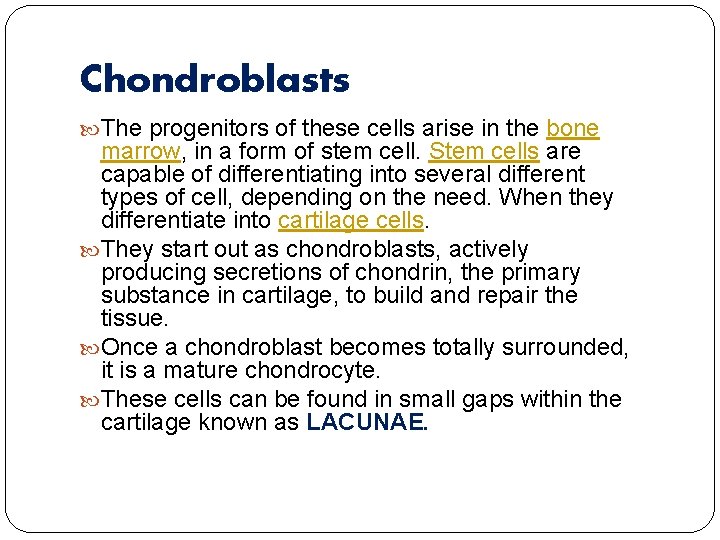 Chondroblasts The progenitors of these cells arise in the bone marrow, in a form
