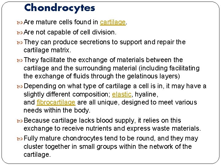 Chondrocytes Are mature cells found in cartilage. Are not capable of cell division. They