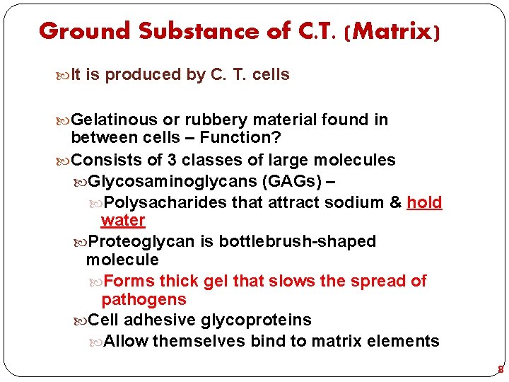 Ground Substance of C. T. (Matrix) It is produced by C. T. cells Gelatinous