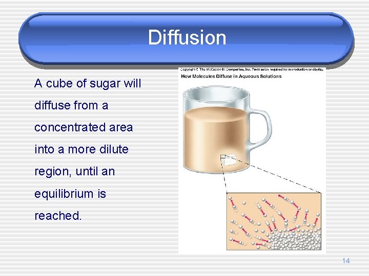 Diffusion A cube of sugar will diffuse from a concentrated area into a more