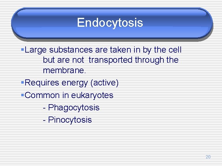 Endocytosis §Large substances are taken in by the cell but are not transported through