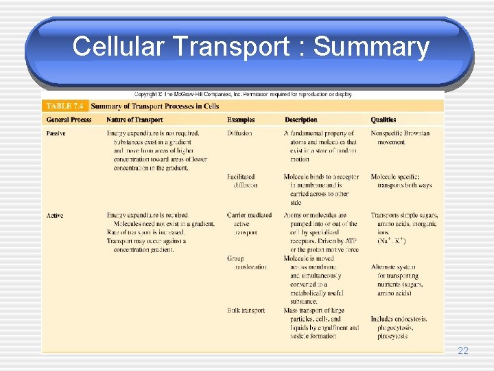 Cellular Transport : Summary 22 