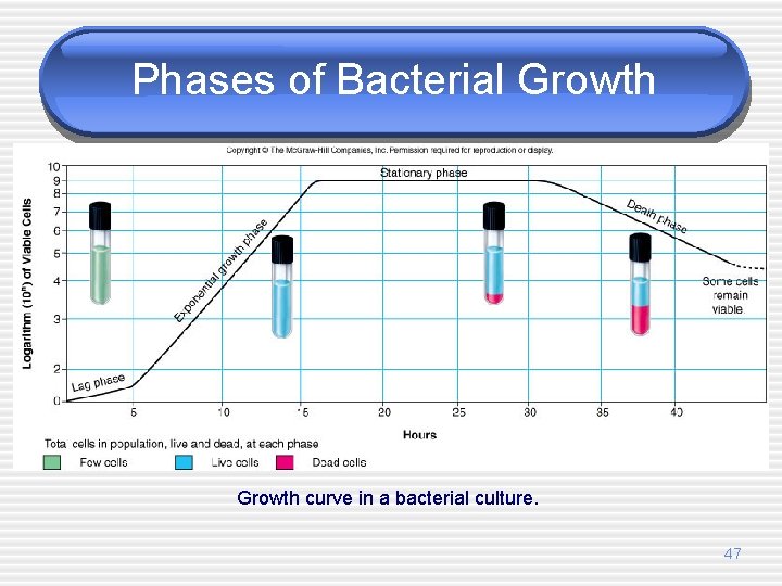 Phases of Bacterial Growth curve in a bacterial culture. 47 