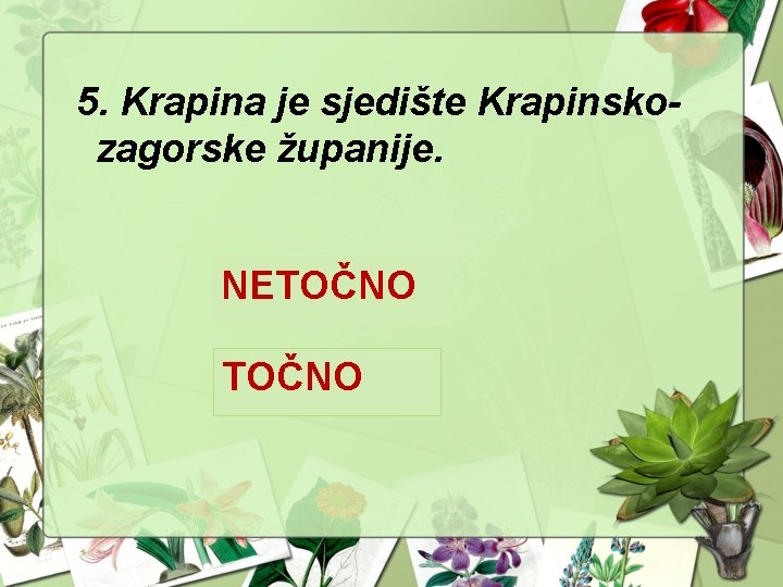 5. Krapina je sjedište Krapinskozagorske županije. NETOČNO 