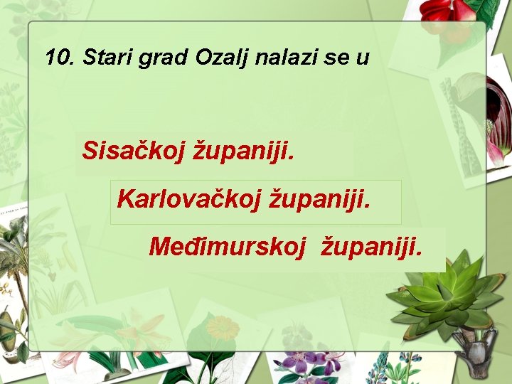 10. Stari grad Ozalj nalazi se u Sisačkoj županiji. Karlovačkoj županiji. Međimurskoj županiji. 