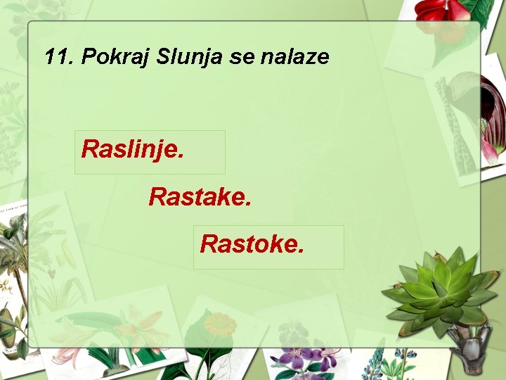 11. Pokraj Slunja se nalaze Raslinje. Rastake. Rastoke. 