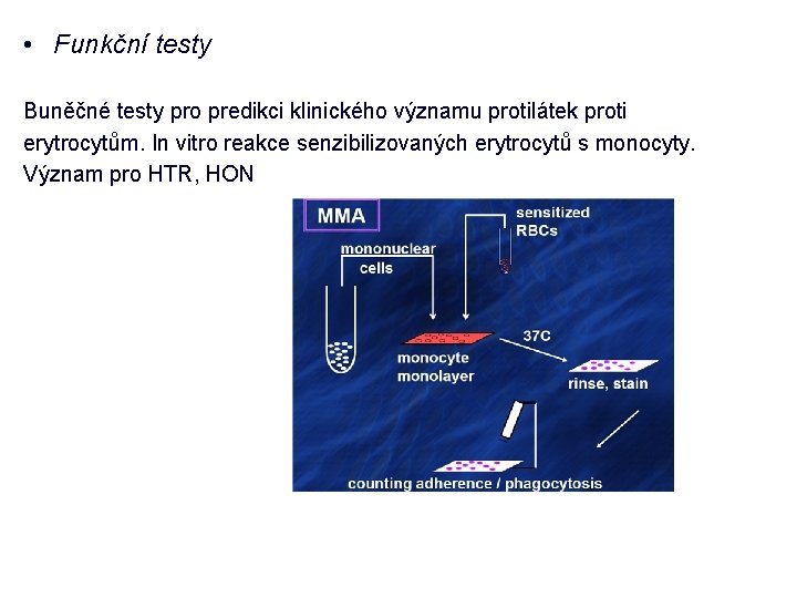  • Funkční testy Buněčné testy pro predikci klinického významu protilátek proti erytrocytům. In