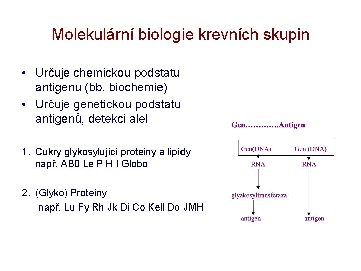 Molekulární biologie krevních skupin • Určuje chemickou podstatu antigenů (bb. biochemie) • Určuje genetickou