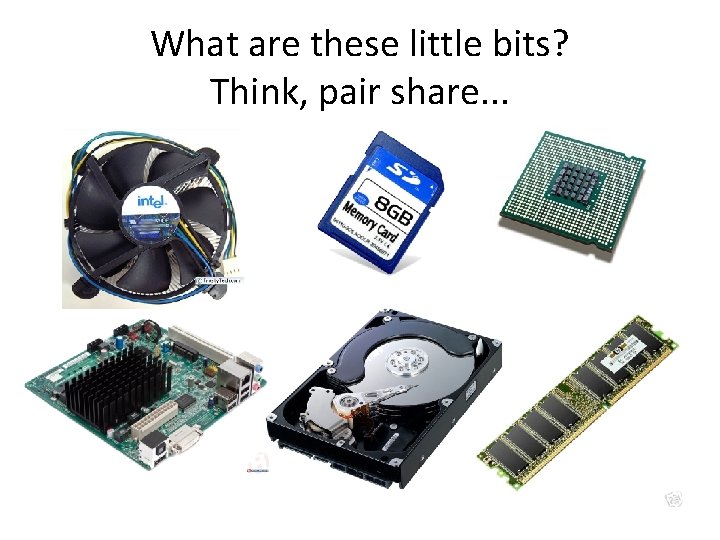 What are these little bits? Think, pair share. . . 