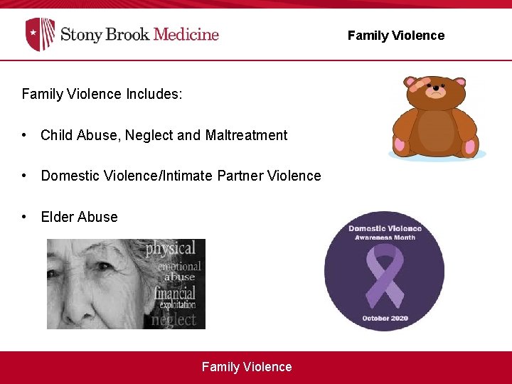 Family Violence Includes: • Child Abuse, Neglect and Maltreatment • Domestic Violence/Intimate Partner Violence