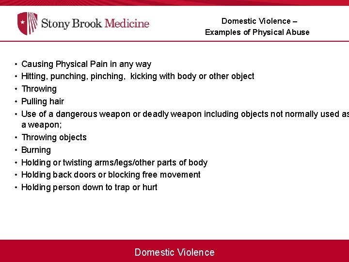 Domestic Violence – Examples of Physical Abuse • • • Causing Physical Pain in