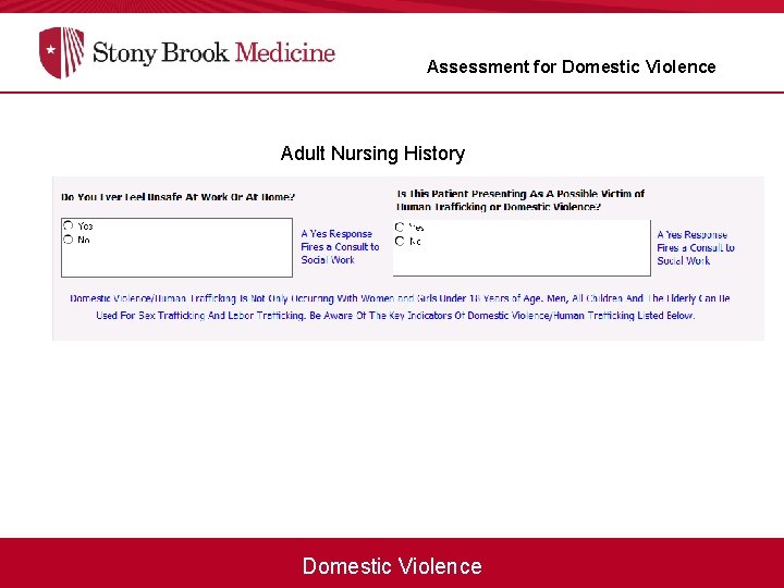 Assessment for Domestic Violence Adult Nursing History Domestic Violence 