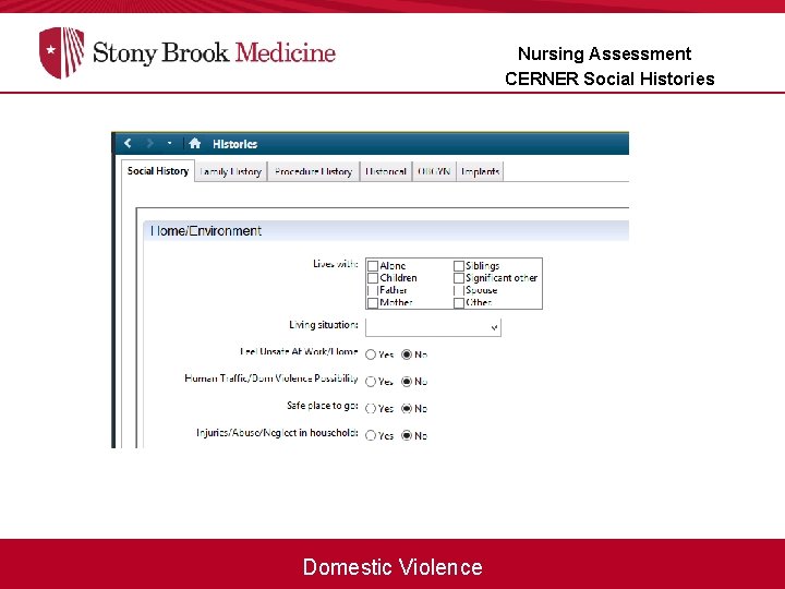 Nursing Assessment CERNER Social Histories Domestic Violence 