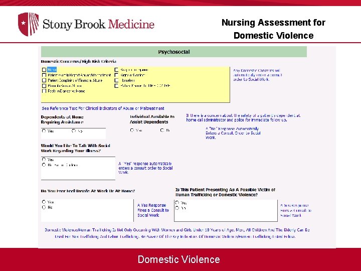 Nursing Assessment for Domestic Violence 