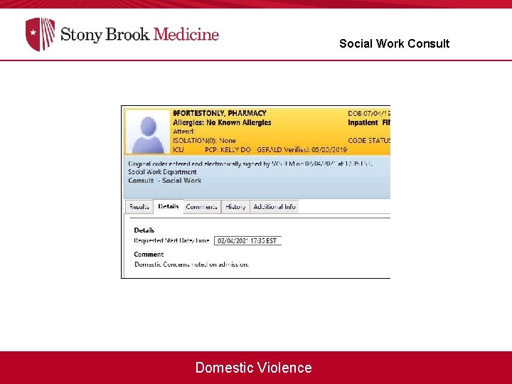 Social Work Consult Domestic Violence 