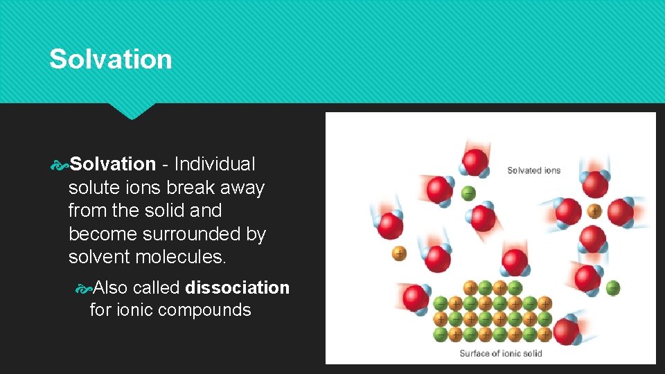 Solvation - Individual solute ions break away from the solid and become surrounded by