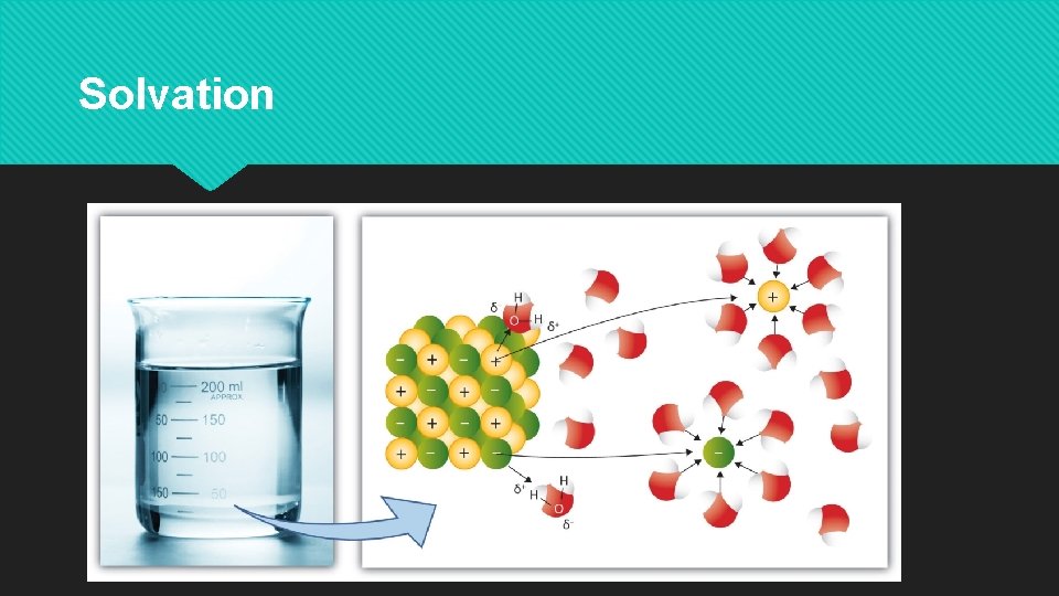 Solvation 