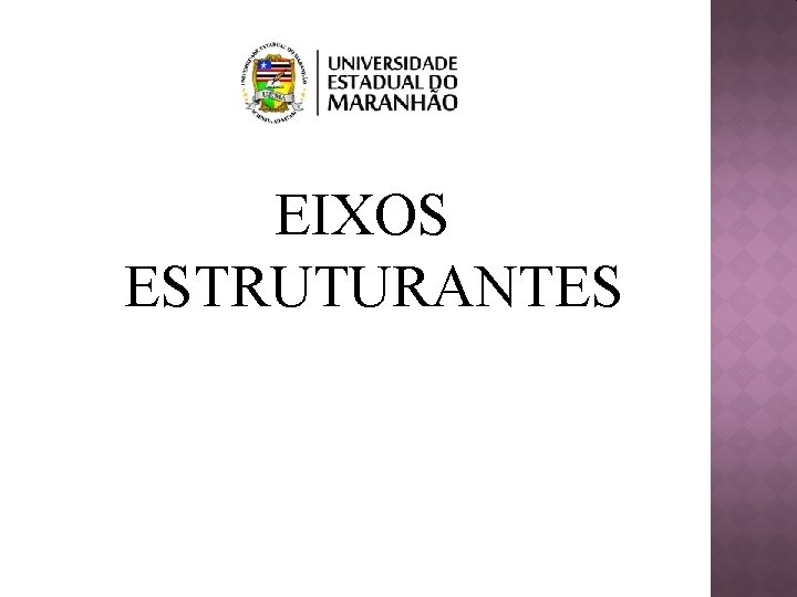 EIXOS ESTRUTURANTES 