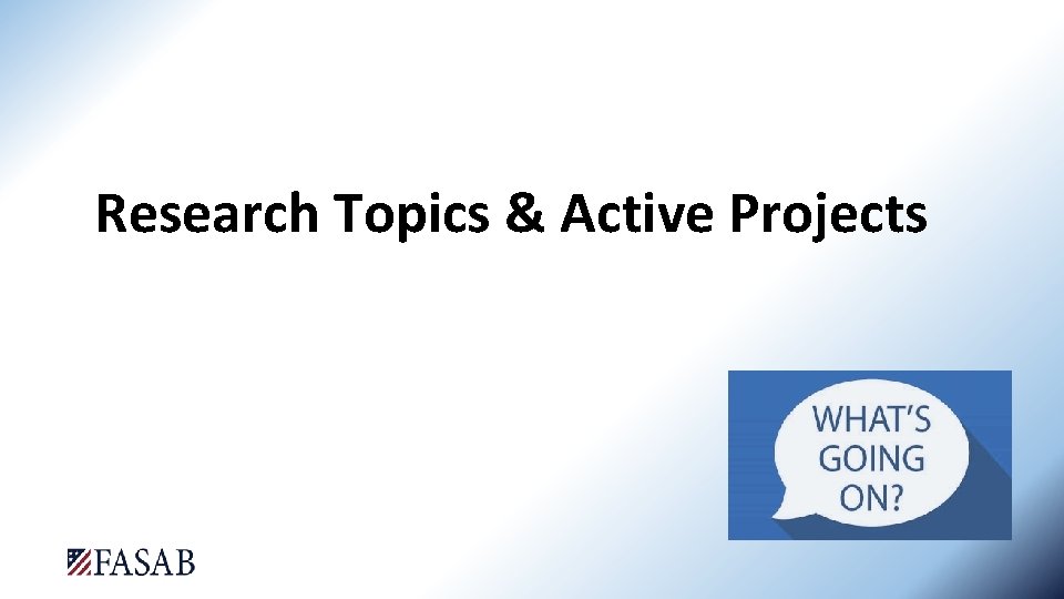 Research Topics & Active Projects 