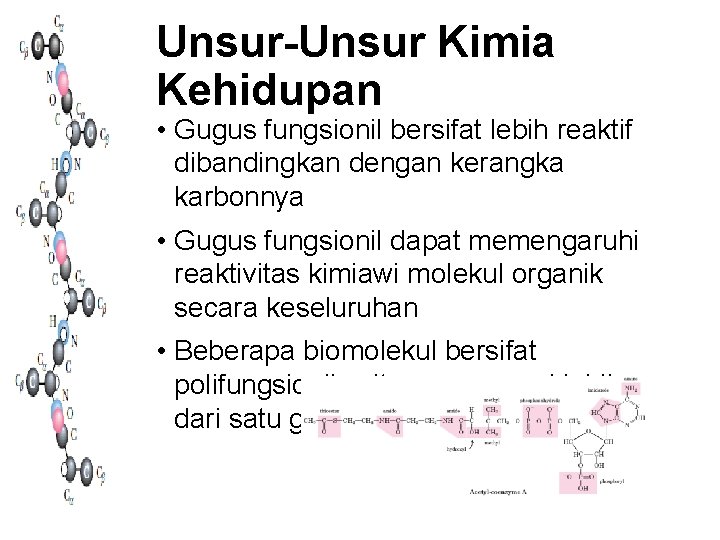 Unsur-Unsur Kimia Kehidupan • Gugus fungsionil bersifat lebih reaktif dibandingkan dengan kerangka karbonnya •