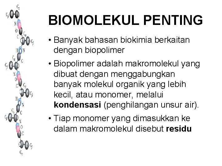 BIOMOLEKUL PENTING • Banyak bahasan biokimia berkaitan dengan biopolimer • Biopolimer adalah makromolekul yang