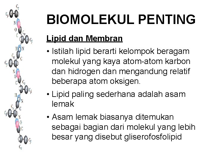 BIOMOLEKUL PENTING Lipid dan Membran • Istilah lipid berarti kelompok beragam molekul yang kaya