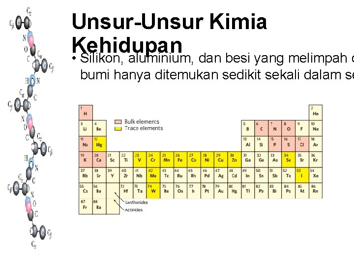 Unsur-Unsur Kimia Kehidupan • Silikon, aluminium, dan besi yang melimpah d bumi hanya ditemukan