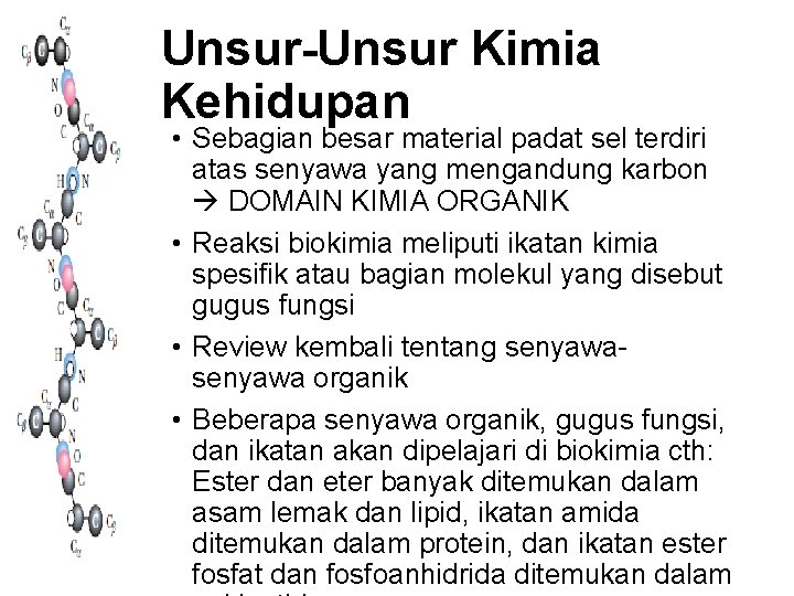 Unsur-Unsur Kimia Kehidupan • Sebagian besar material padat sel terdiri atas senyawa yang mengandung