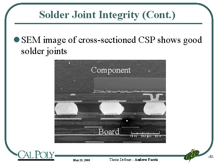 Solder Joint Integrity (Cont. ) l SEM image of cross-sectioned CSP shows good solder