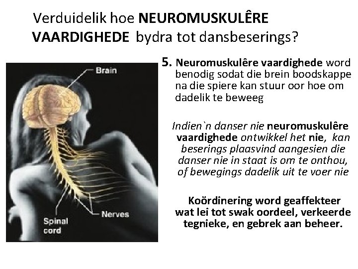 Verduidelik hoe NEUROMUSKULÊRE VAARDIGHEDE bydra tot dansbeserings? 5. Neuromuskulêre vaardighede word benodig sodat die