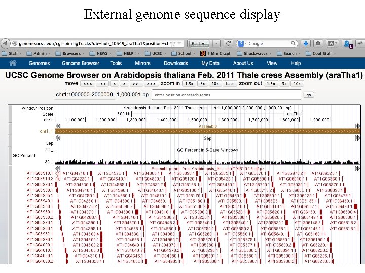 External genome sequence display 