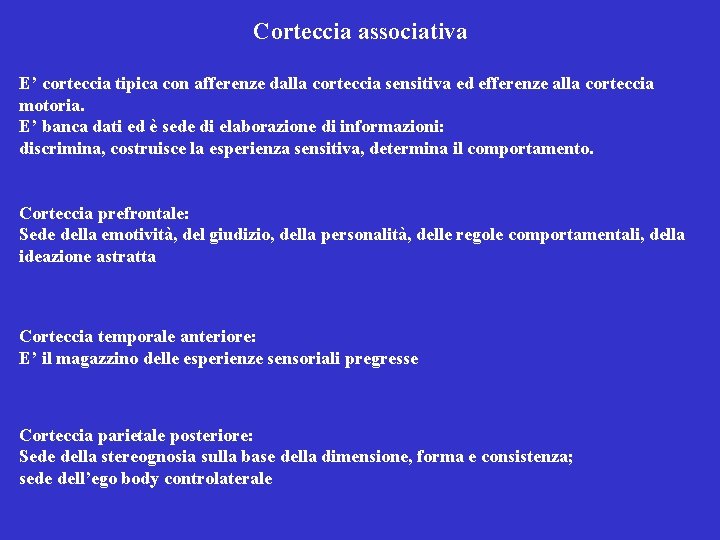 Corteccia associativa E’ corteccia tipica con afferenze dalla corteccia sensitiva ed efferenze alla corteccia