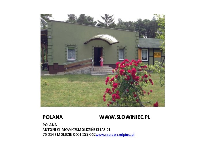 POLANA WWW. SLOWINIEC. PL POLANA ANTONI KLIMOWICZSMOŁDZIŃSKI LAS 21 76 -214 SMOŁDZINO 604 259