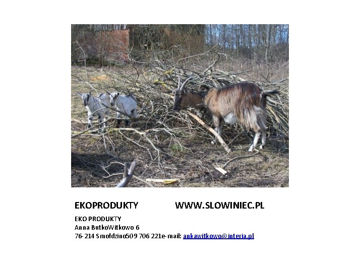 EKOPRODUKTY WWW. SLOWINIEC. PL EKO PRODUKTY Anna Butko. Witkowo 6 76 -214 Smołdzino 509