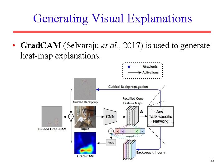 Generating Visual Explanations • Grad. CAM (Selvaraju et al. , 2017) is used to