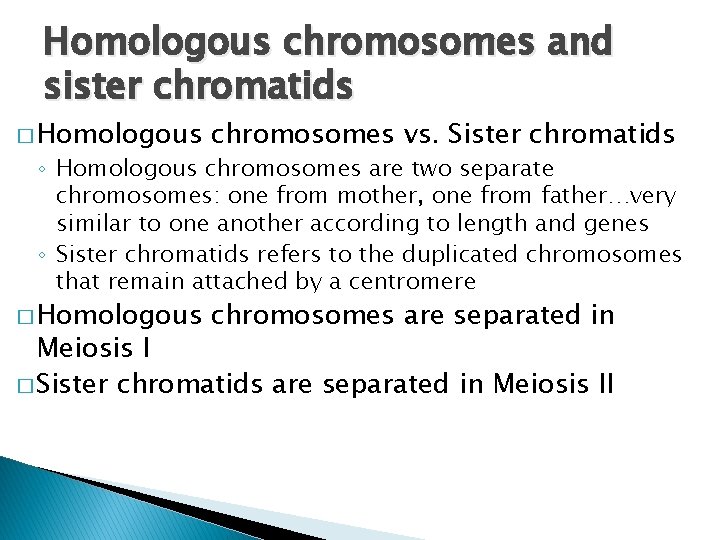 Homologous chromosomes and sister chromatids � Homologous chromosomes vs. Sister chromatids � Homologous chromosomes