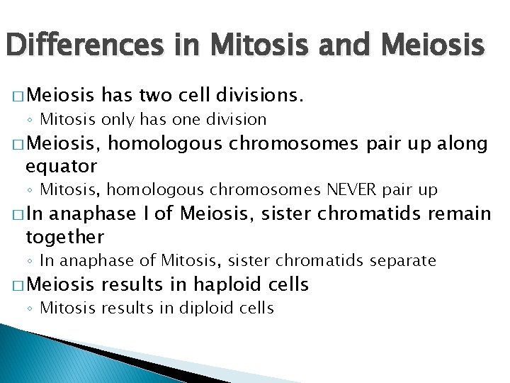 Differences in Mitosis and Meiosis � Meiosis has two cell divisions. ◦ Mitosis only
