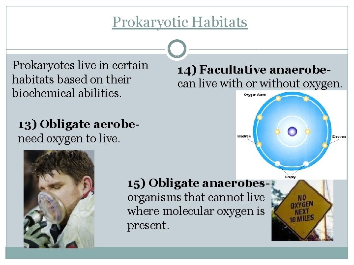 Prokaryotic Habitats Prokaryotes live in certain habitats based on their biochemical abilities. 14) Facultative
