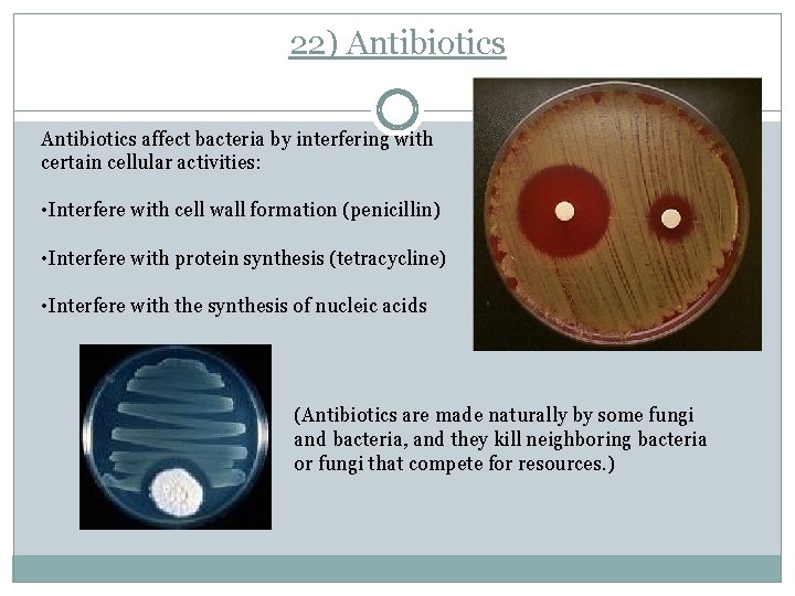 22) Antibiotics affect bacteria by interfering with certain cellular activities: • Interfere with cell