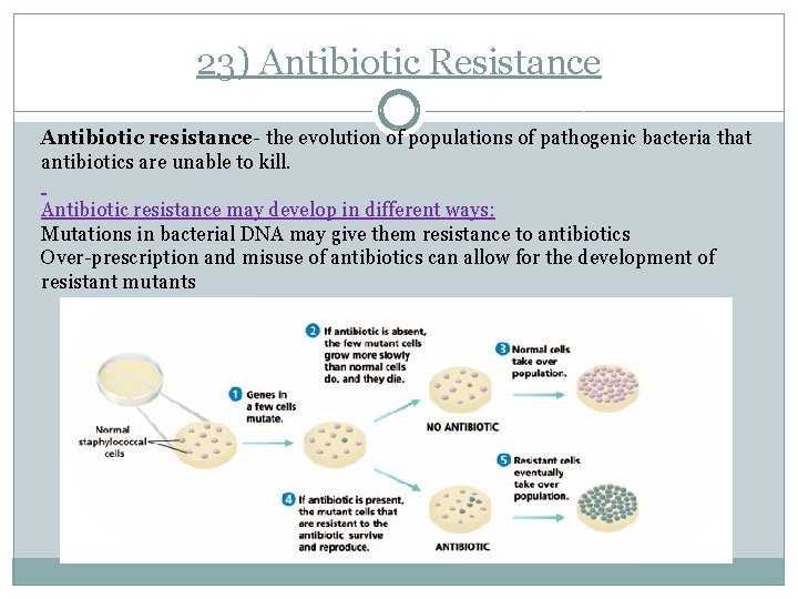 23) Antibiotic Resistance Antibiotic resistance- the evolution of populations of pathogenic bacteria that antibiotics