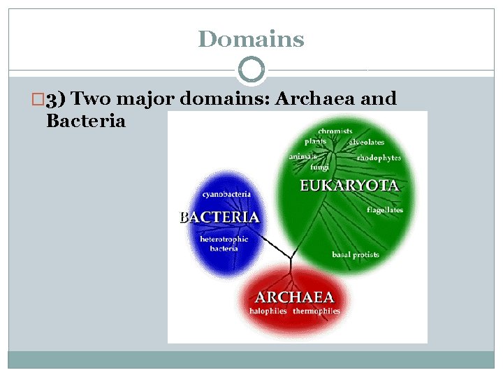 Domains � 3) Two major domains: Archaea and Bacteria 
