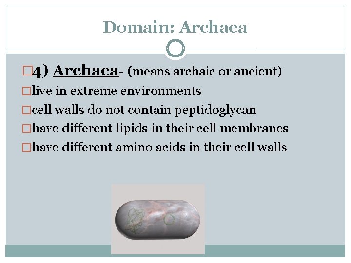 Domain: Archaea � 4) Archaea- (means archaic or ancient) �live in extreme environments �cell