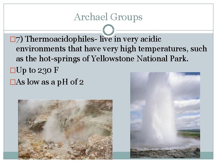Archael Groups � 7) Thermoacidophiles- live in very acidic environments that have very high