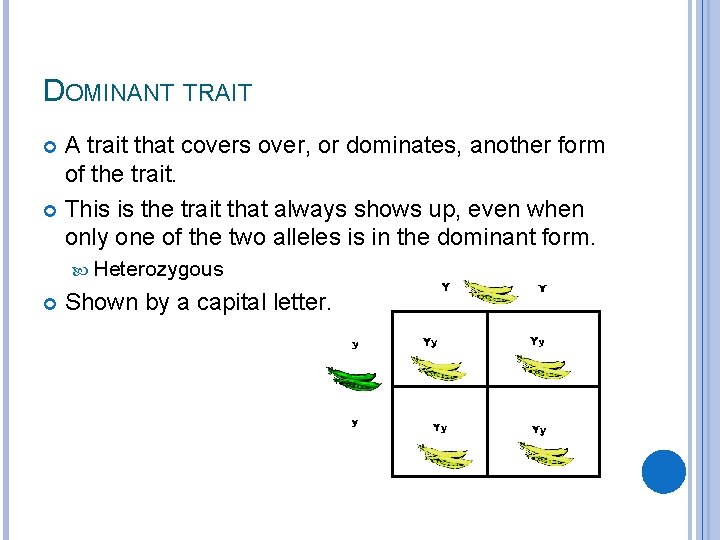 DOMINANT TRAIT A trait that covers over, or dominates, another form of the trait.