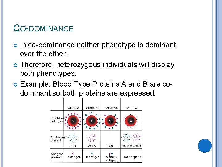 CO-DOMINANCE In co-dominance neither phenotype is dominant over the other. Therefore, heterozygous individuals will