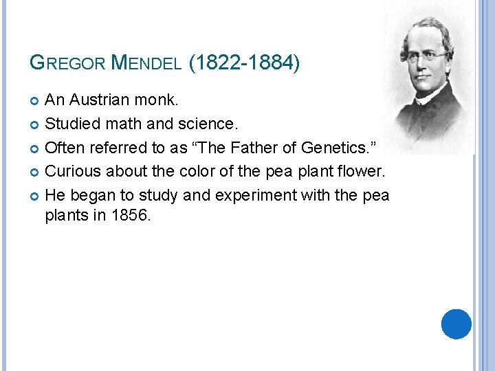 GREGOR MENDEL (1822 -1884) An Austrian monk. Studied math and science. Often referred to