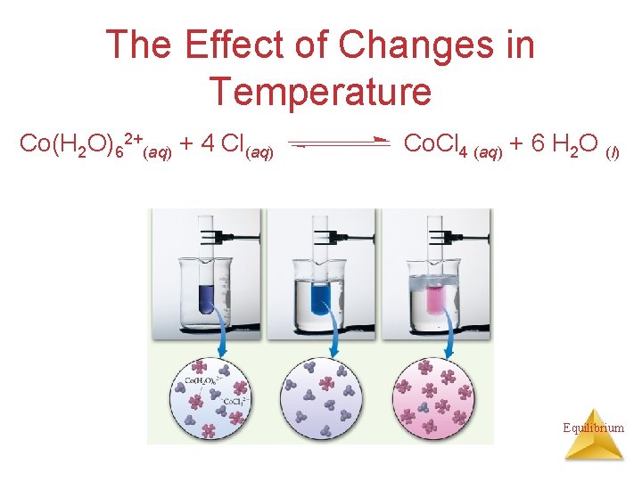 The Effect of Changes in Temperature Co(H 2 O)62+(aq) + 4 Cl(aq) Co. Cl