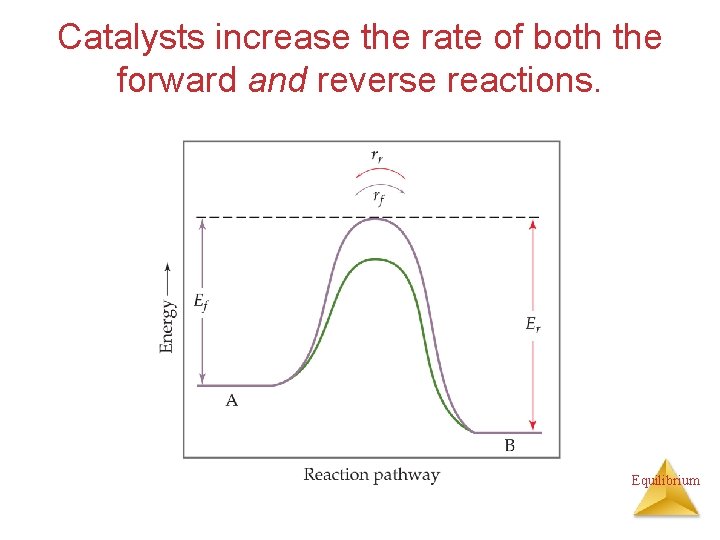 Catalysts increase the rate of both the forward and reverse reactions. Equilibrium 