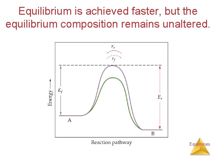 Equilibrium is achieved faster, but the equilibrium composition remains unaltered. Equilibrium 